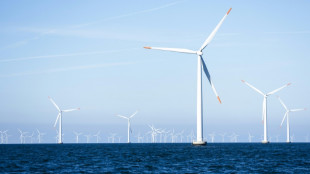Danish wind giant sues US government over project halt