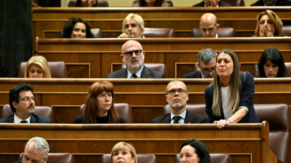 La ley de amnist&iacute;a para los independentistas avanza en el Congreso espa&ntilde;ol