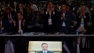 FDP versucht auf Parteitag Spagat zwischen Koalitionstreue und Profilsch&auml;rfung