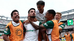 Neuroci&ecirc;ncia, uma carta na manga do Palmeiras de Abel Ferreira