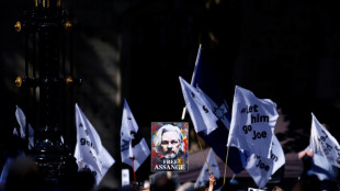 El recurso de Julian Assange contra su extradici&oacute;n a EEUU ser&aacute; examinado en julio