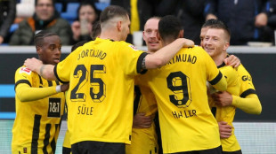 Freak Brandt goal sinks Hoffenheim as Dortmund go three points clear