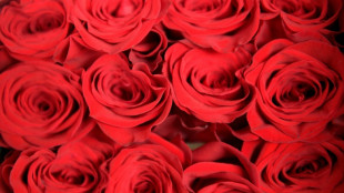 Blumenstrau&szlig; im Landratsamt Ulm l&ouml;st Polizeieinsatz aus