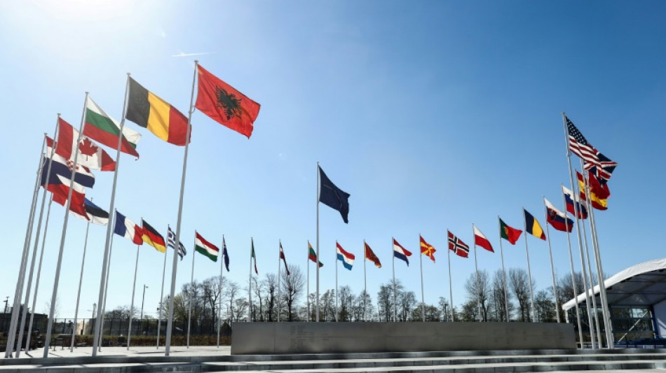 La Finlande rejoint l'Otan, tournant historique pour l'Alliance 