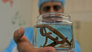 Zoll findet Blutegel in Fluggep&auml;ck: Einfuhr k&ouml;nnte f&uuml;r Reisende teuer werden