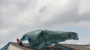 Plus de 10% du vignoble bordelais d&eacute;vast&eacute; par la gr&ecirc;le en juin