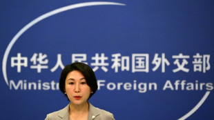 El veto de EEUU en la ONU hace que Gaza sea "a&uacute;n m&aacute;s peligrosa", dice China