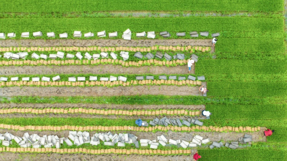 Umfrage: Gro&szlig;teil der Bauern sp&uuml;rt Folgen des Klimawandels bereits deutlich