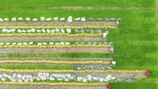 Umfrage: Gro&szlig;teil der Bauern sp&uuml;rt Folgen des Klimawandels bereits deutlich