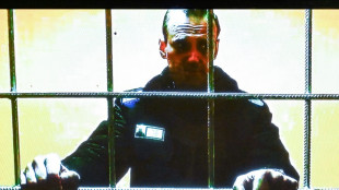 Le proc&egrave;s en appel de l'opposant russe Navalny renvoy&eacute; au 24 mai