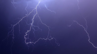 Sechs Verletzte bei Blitzeinschlag in Baden-W&uuml;rttemberg