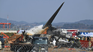 O que causou o acidente a&eacute;reo mais mortal da hist&oacute;ria da Coreia do Sul?