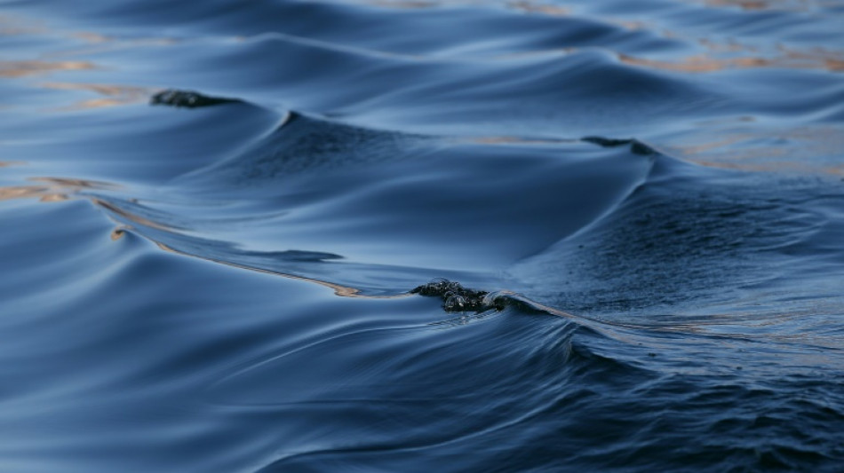 Weiterer Toter drei Wochen nach Sportbootunfall in Brandenburg gefunden