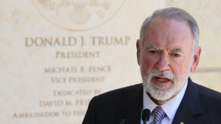 Ambasciatore Usa smentisce voci riconoscimento Palestina