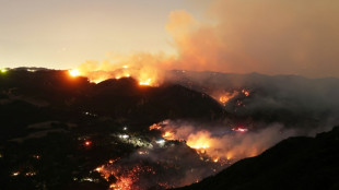 Los Angeles wildfires in figures