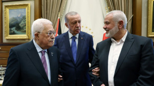 Erdogan meets Palestinian president, Hamas leader in Ankara