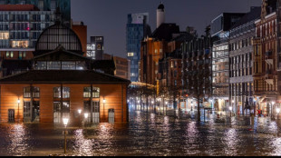 Deutsche Bahn: Sch&auml;den durch Sturmtief "Zoltan" weitgehend beseitigt