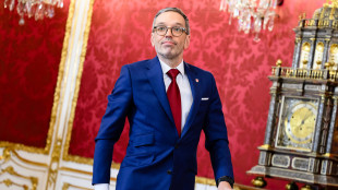 Presidente austriaco d&agrave; a Kickl mandato di formare governo