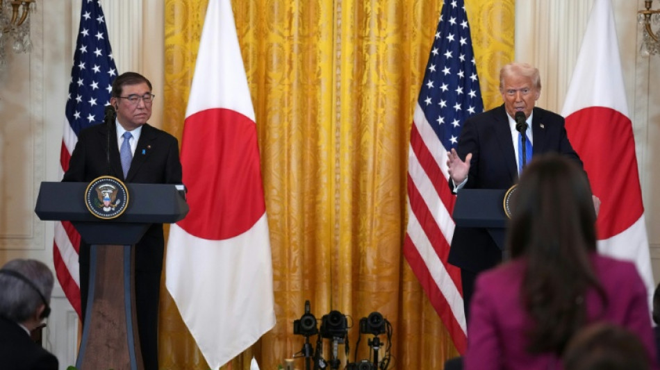 Japan PM says Trump's tariff views hard to understand