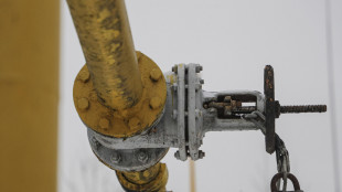 Accordo Russia-Cina per nuovo gasdotto Power of Siberia 2