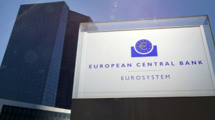 Les vuln&eacute;rabilit&eacute;s de dettes souveraines sont aggrav&eacute;es par l'incertitude politique, dit la BCE