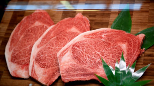 Schadenersatz f&uuml;r teures Wagyu-Fleisch: Gericht weist Klage gegen Tierarzt ab