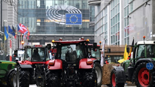 "Vision" f&uuml;r Landwirtschaft: Br&uuml;ssel will strengere Regeln f&uuml;r Lebensmittelimporte