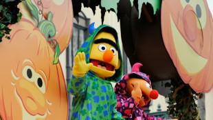 Ernie und Bert regeln Verkehr in Hamburg: "Sesamstra&szlig;e"-Figuren sind Ampelm&auml;nnchen