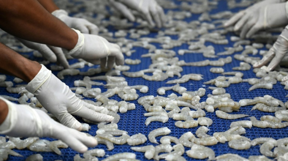 Rupture du Honduras avec Ta&iuml;wan : quel avenir pour le march&eacute; de la crevette ?