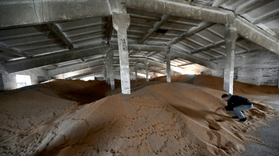 EU verl&auml;ngert Beschr&auml;nkungen auf ukrainische Getreideimporte