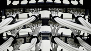 Spatenstich im Spreewald: Schwarz-Gruppe baut KI-Rechenzentrum für elf Milliarden Euro