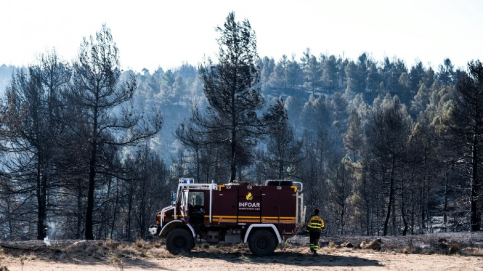 Espagne: un vent fort ravive le premier feu de for&ecirc;t majeur de l'ann&eacute;e