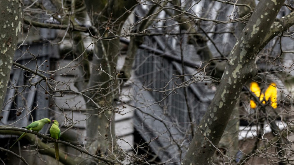 Paris adopte son troisi&egrave;me plan biodiversit&eacute; en misant sur les haies