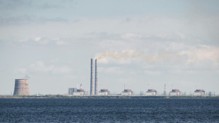 Rusia acusa a Ucrania del bombardeo a una central nuclear y advierte sobre "consecuencias catastr&oacute;ficas"