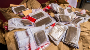 Incautan en Francia 1,5 toneladas de resina de cannabis procedente de Espa&ntilde;a