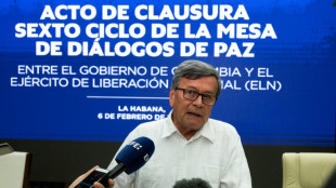 El ELN anuncia "paro armado" en una regi&oacute;n de Colombia pese a la tregua con el gobierno