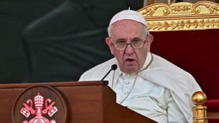 El papa llama a la unidad frente a la l&oacute;gica de los "bloques opuestos" Este-Oeste
