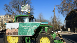 Des tracteurs d&eacute;filent &agrave; Paris contre les restrictions des pesticides