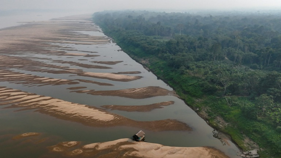 Seca deixa afluentes do rio Amazonas em 'situa&ccedil;&atilde;o cr&iacute;tica'