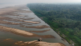 Seca deixa afluentes do rio Amazonas em 'situa&ccedil;&atilde;o cr&iacute;tica'
