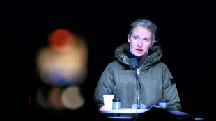 Bundestag pr&uuml;ft Musk-Einsatz f&uuml;r AfD mit Blick auf Regeln zu Wahlwerbung