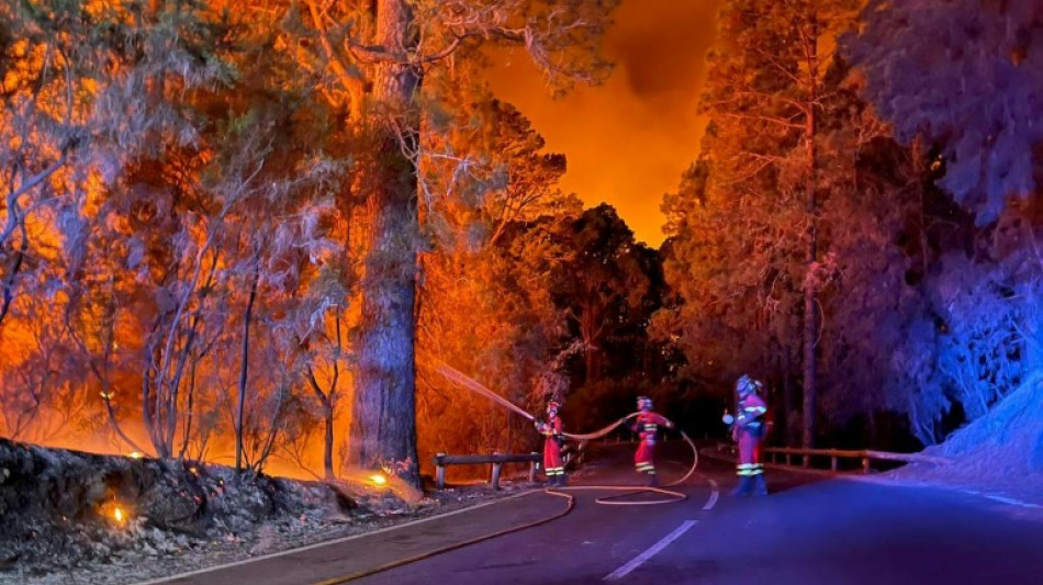 Tenerife: les flammes toujours incontr&ocirc;lables, nouvelles &eacute;vacuations