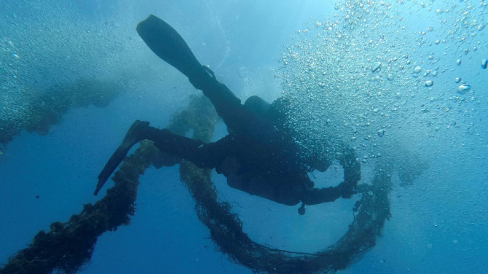 Bergung von 400 Jahre altem Schiffswrack in Travem&uuml;ndung vor L&uuml;beck beendet