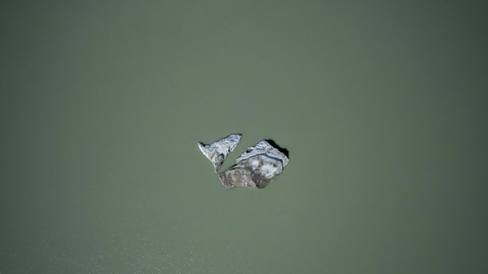 Suiza rechaza una iniciativa para incluir la responsabilidad medioambiental en la Constituci&oacute;n