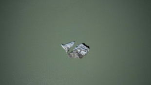 Suiza rechaza una iniciativa para incluir la responsabilidad medioambiental en la Constituci&oacute;n