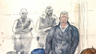 Dominique Pelicot no apelar&aacute; su condena por violaciones en serie en Francia