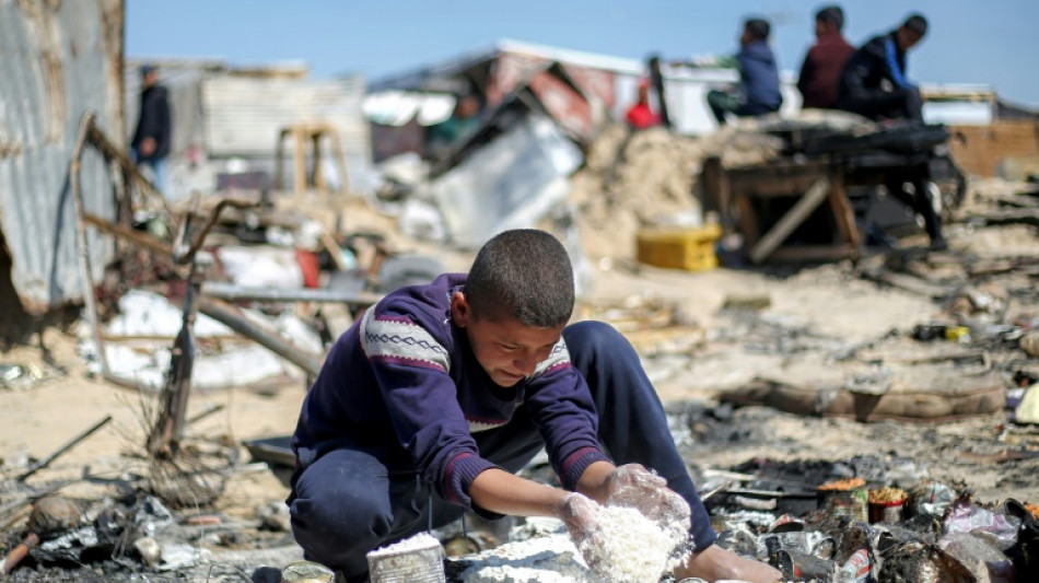 En una Gaza azotada por el hambre, los palestinos recurren a la carne de tortuga