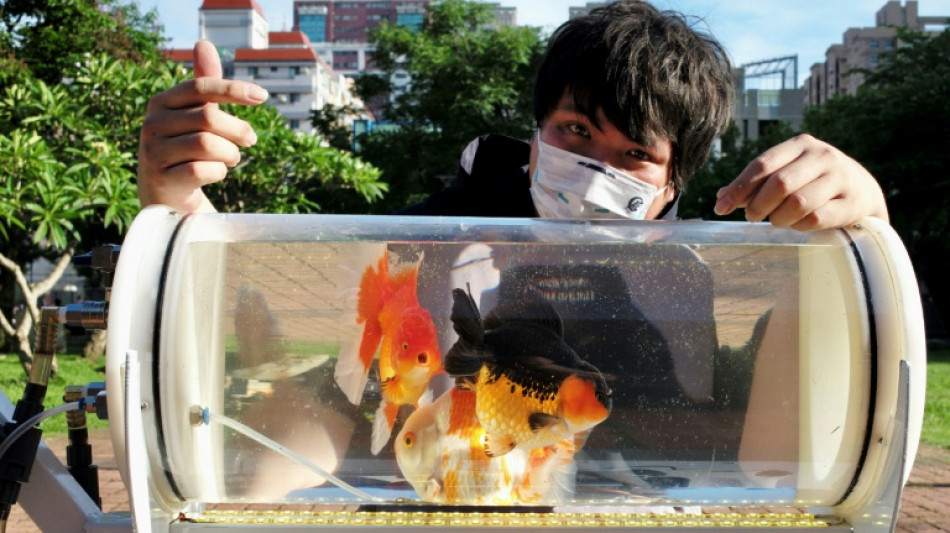 Un taiwan&eacute;s crea un cochecito para que sus peces "exploren otros mundos"
