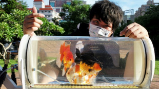 Un taiwan&eacute;s crea un cochecito para que sus peces "exploren otros mundos"