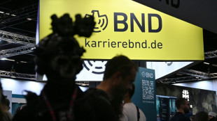 Deutsche Sicherheitsbeh&ouml;rden warnen in Kampagne vor "Wegwerf-Agenten" von Russland